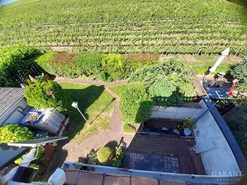 Blick in den Garten - 