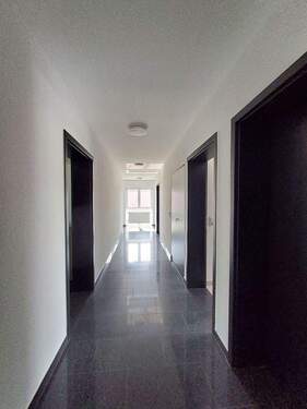 20250409_135223.jpg - 