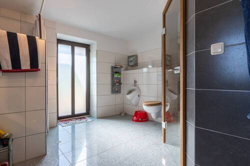 Tageslichtduschbad (1) - 