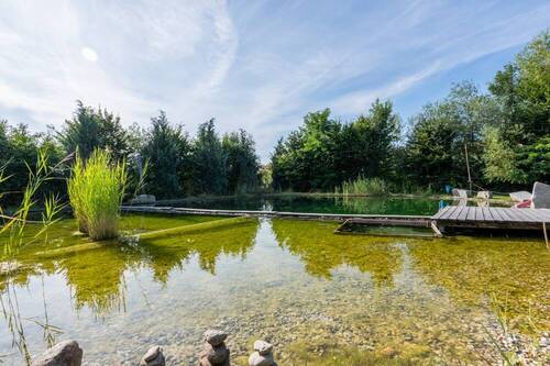 Schwimmteich (1) - 