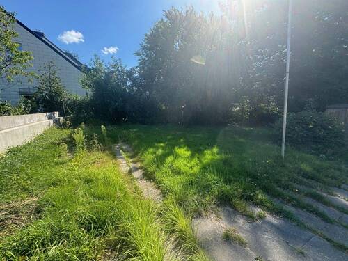 Sonniger Garten mit Rasen - 