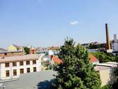 DSC09013 - 