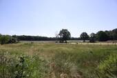 Blick in die Natur - 