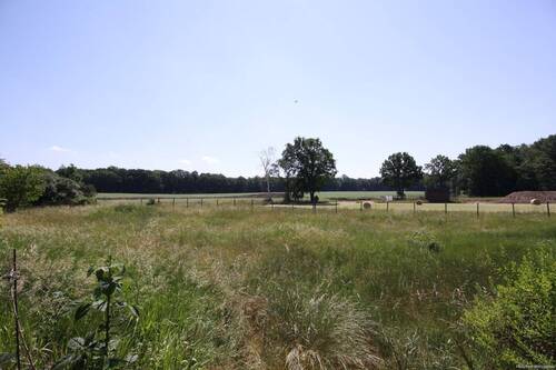 Blick in die Natur - 