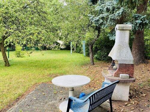 Gemeinschaftsgarten - 