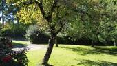 Herrlicher Obstgarten - 