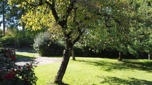 Herrlicher Obstgarten - 