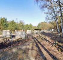 Gewerbegrundstück mit Potential in grüner ruhiger Lage - Walsrode Düshorn