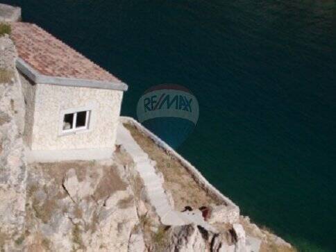 xxl_thumb_1439799726_02 - 