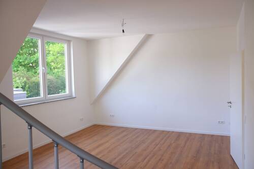 Zimmer - 