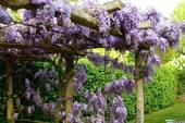 Bild 13 - 