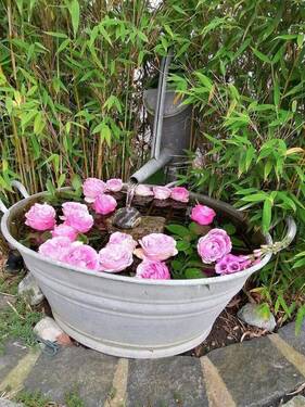 Bild 15 - 
