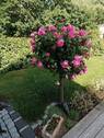 Bild 6 - 