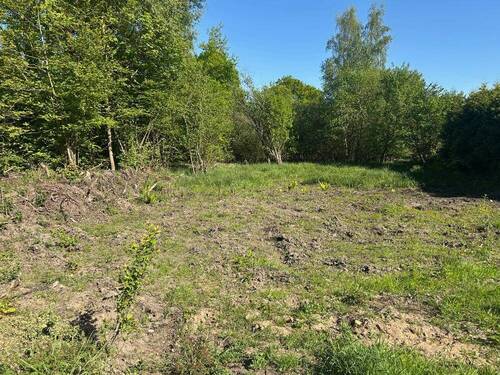 Ansicht - Grundstück in Bienenbüttel zum Kaufen