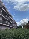 IMG_0246 - 