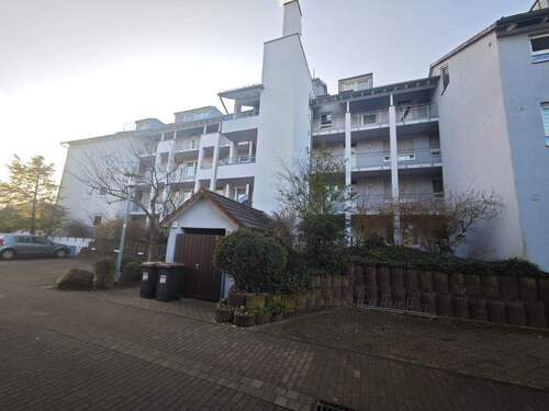 IMG_20251212_094353 - 