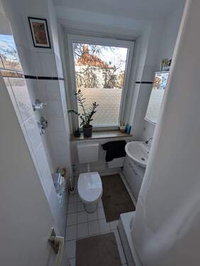 PXL_20251219_090905160.jpg - 