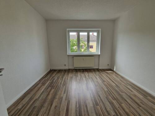 Zimmer3 - 