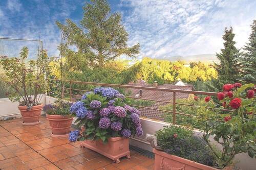 Balkon bepflanzt - 