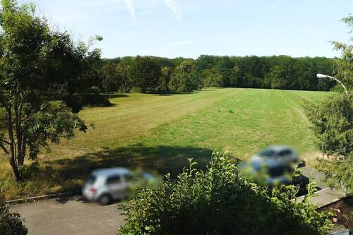 Ausblick Richtung Wald - 