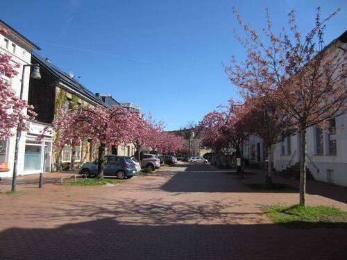 FOTO VON EIMEM TEIL DER MEESMANNSTRASSE - 