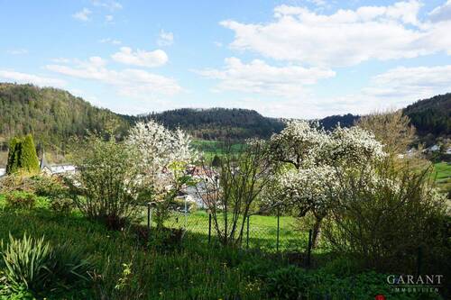 Garten - 1 Zimmer Mehrfamilienhaus, Wohnhaus zum Kaufen in Epfendorf