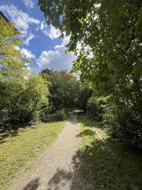 Bild 17 - 