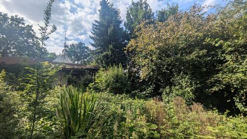Großer Naturgarten - 
