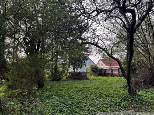 Blick zur Straße mit Nachbarbebauung - 