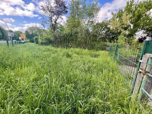 Wiese hinter dem Garten - 