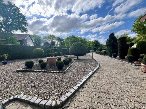 Steinbeet - 