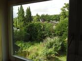 Ausblick in den Garten - 