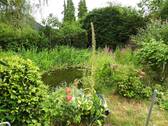 Gartenteich - 