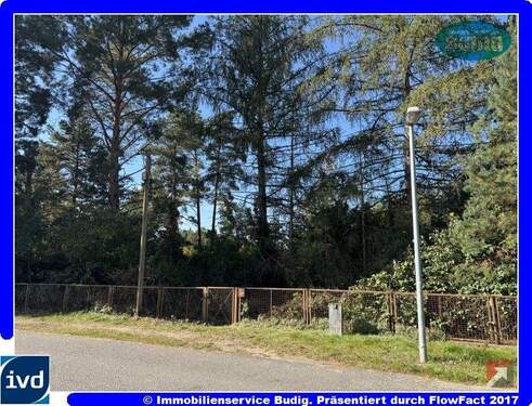 Blick von der Straße zum Grundstück - Schönes Grundstück in ruhiger, waldreicher Wohnlage