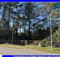 Schönes Grundstück in ruhiger, waldreicher Wohnlage - Königs Wusterhausen Senzig