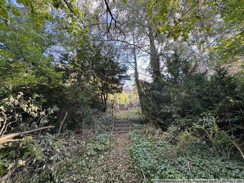 Blick vom Grundstück zur höher gelegenen Straße - 