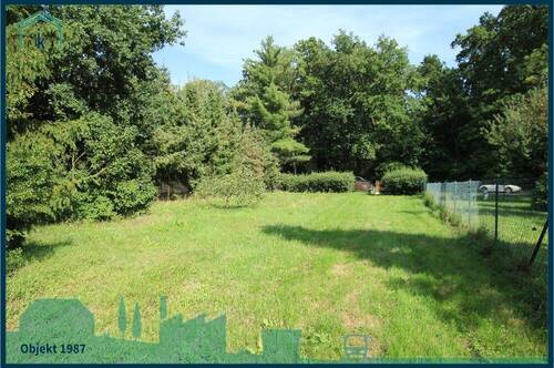 mögliche bebaubare Fläche mit Blick zur Straße - Grundstück in Am Mellensee zum Kaufen
