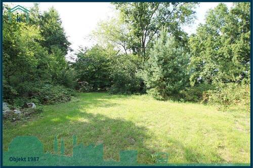 1987 mittlerer Grundstücksteil.jpg - 