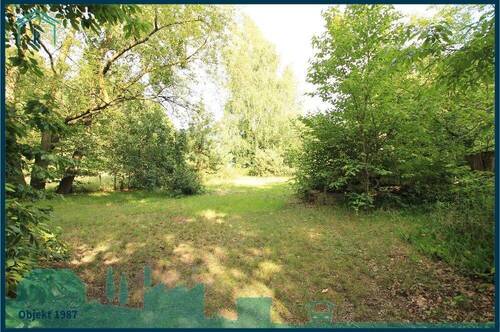 1987 hinterer Grundstücksteil.jpg - 