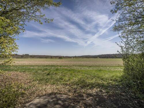 Blick in die Ferne - 