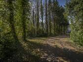Hof-Zufahrt - 7 Zimmer Einfamilienhaus zum Kaufen in Schlangenbad