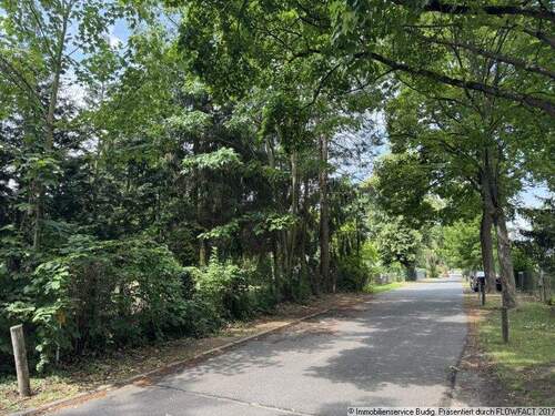 Blick in eine Anliegerstraße - links befindet sich das Grundstück - Grundstück in Neuenhagen