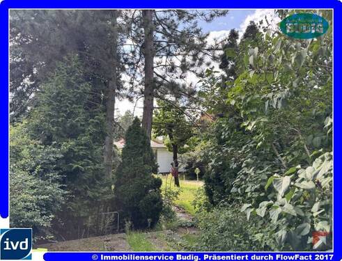 Blick von der Straße auf das Grundstück - Baugrundstück für kleines Einfamilien- oder Tinyhaus