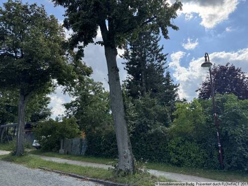 Blick von der Straße auf das Grundstück - Grundstück in Neuenhagen zum Kaufen