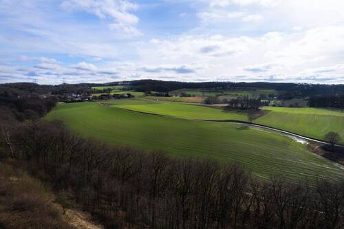 Ausblick - 