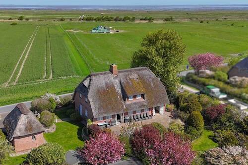 Bild 2 - 8 Zimmer Einfamilienhaus zum Kaufen in Archsum