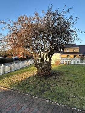 Vordere Ansicht Garten mitz Baumbestand - Bungalow mit 130,00 m&sup2; in Moorrege zum Kaufen