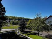 IMG_0338.jpeg - 