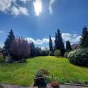 Großer Garten - 