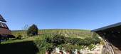 IMG20260429163644 - 